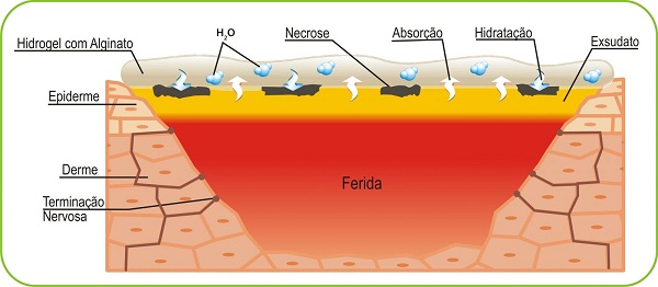 Imagem Pomada Curatec Hidrogel com Alginato